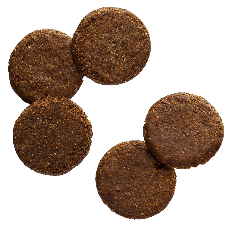 BASE Cookies Cocoa (Pack of 2)